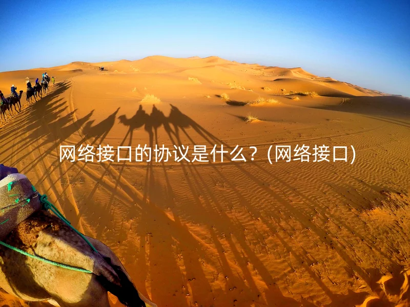  网络接口的协议是什么？(网络接口)