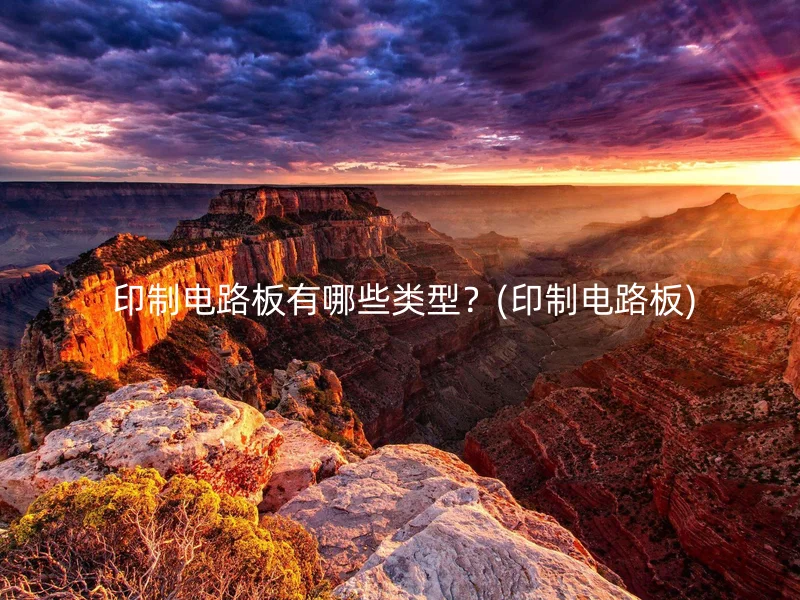  印制电路板有哪些类型？(印制电路板)