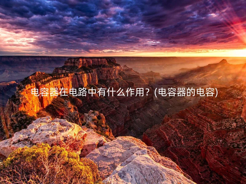  电容器在电路中有什么作用？(电容器的电容)