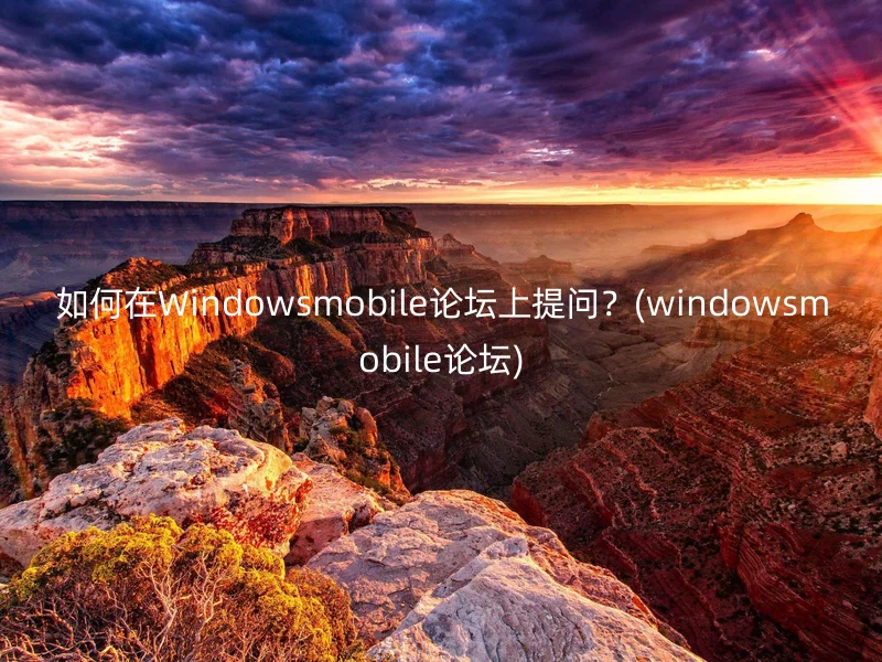 如何在Windowsmobile论坛上提问？(windowsmobile论坛)