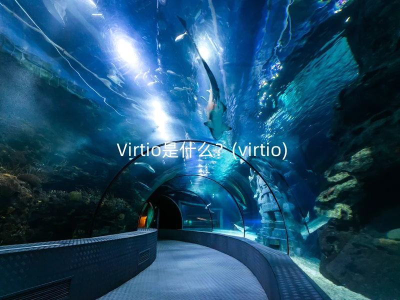 Virtio是什么？(virtio)