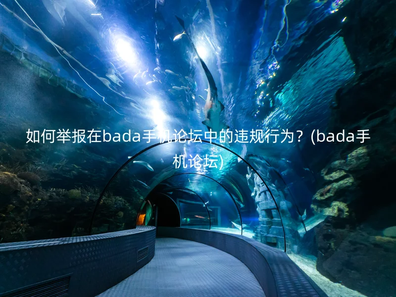 如何举报在bada手机论坛中的违规行为？(bada手机论坛)