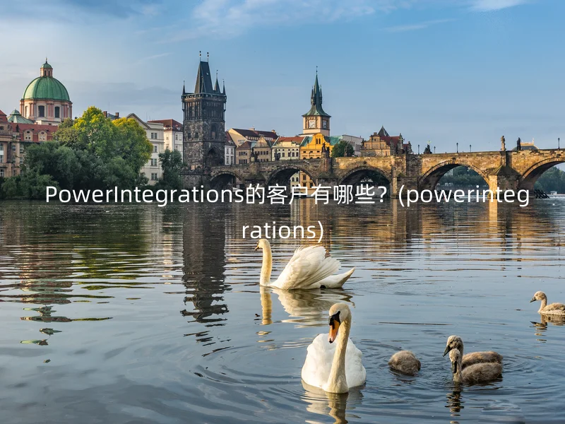  PowerIntegrations的客户有哪些？(powerintegrations)