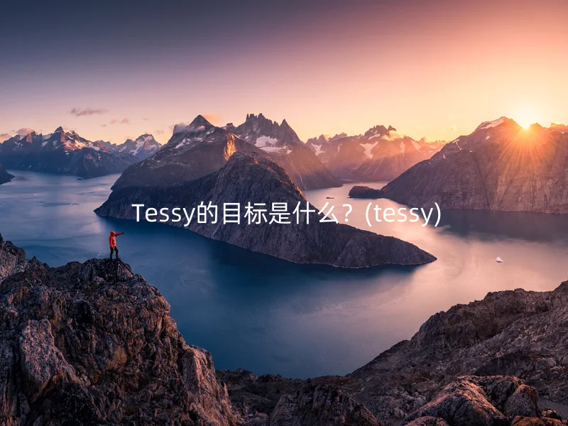  Tessy的目标是什么？(tessy)