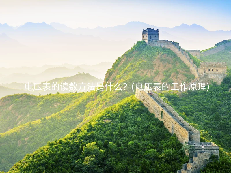  电压表的读数方法是什么？(电压表的工作原理)