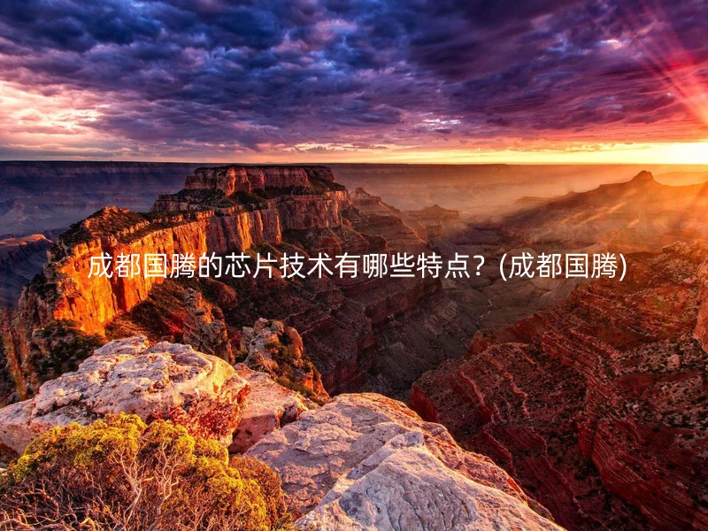  成都国腾的芯片技术有哪些特点？(成都国腾)