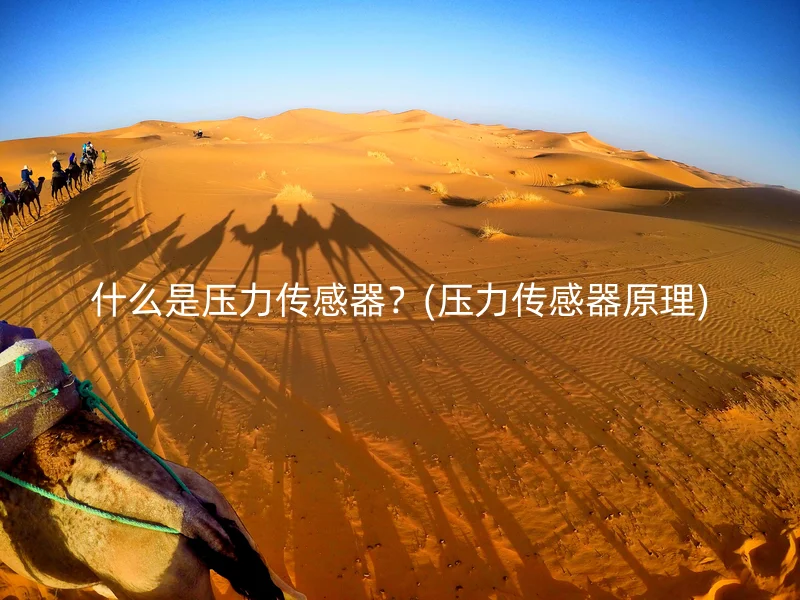 什么是压力传感器？(压力传感器原理)