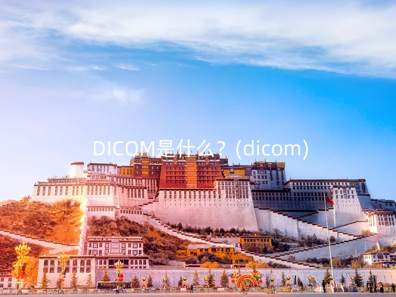  DICOM是什么？(dicom)