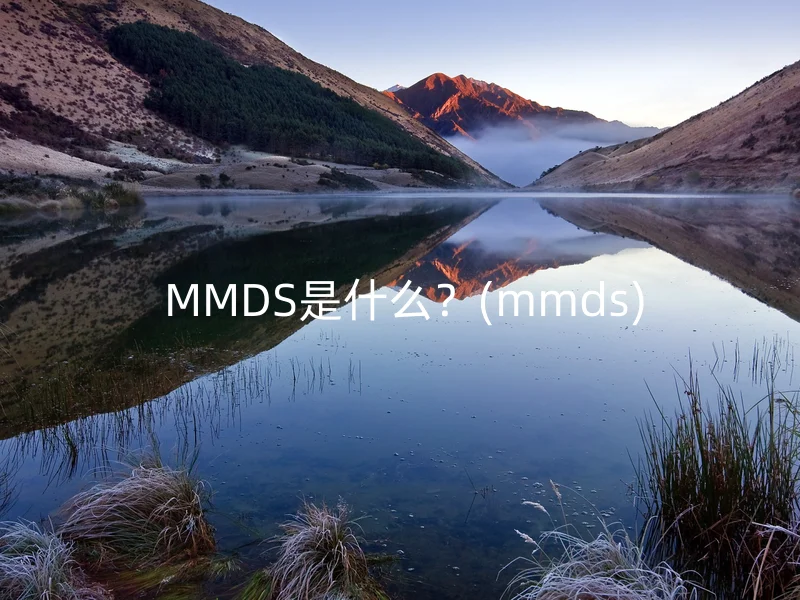  MMDS是什么？(mmds)