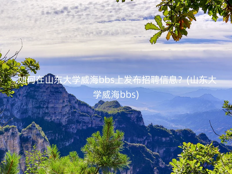  如何在山东大学威海bbs上发布招聘信息？(山东大学威海bbs)