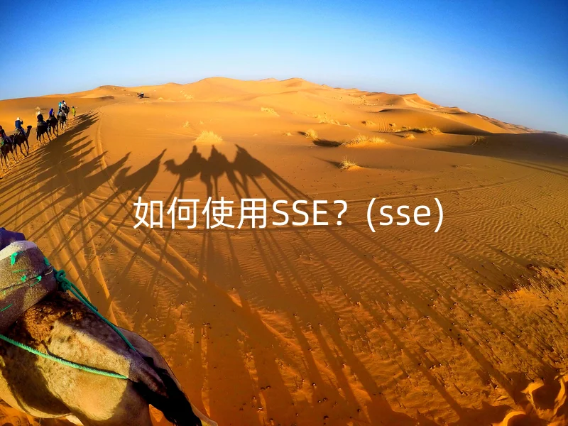  如何使用SSE？(sse)