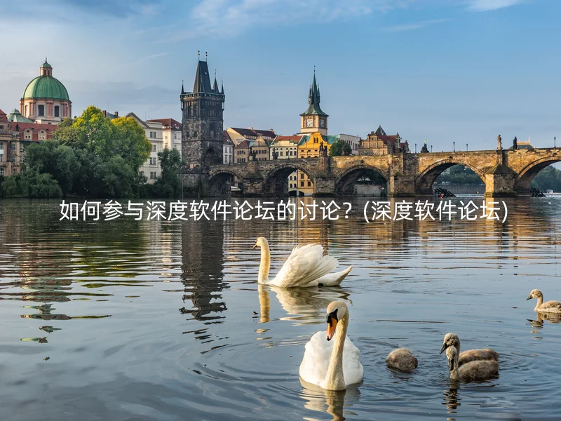  如何参与深度软件论坛的讨论？(深度软件论坛)