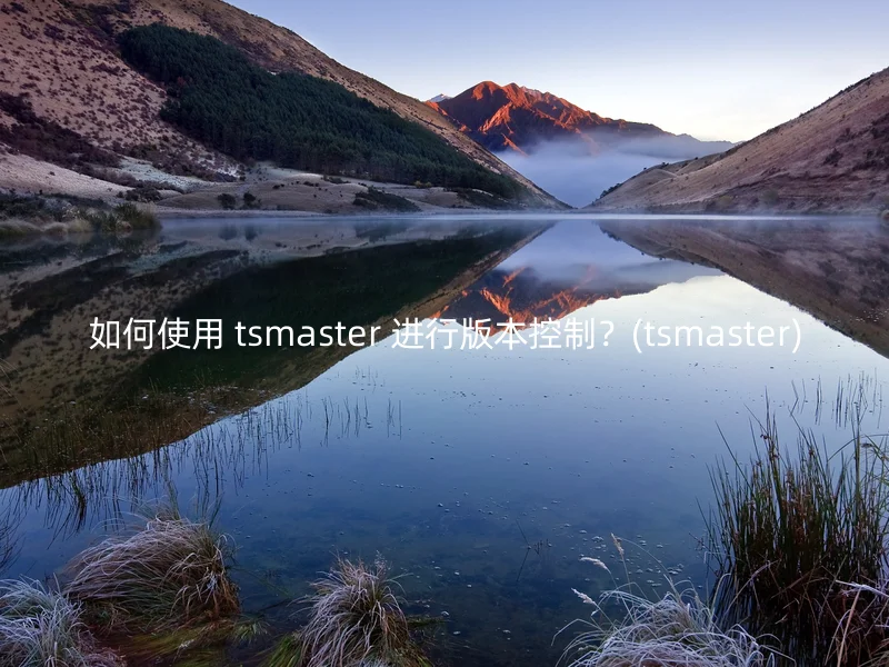 如何使用 tsmaster 进行版本控制？(tsmaster)