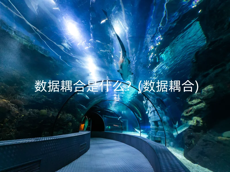  数据耦合是什么？(数据耦合)