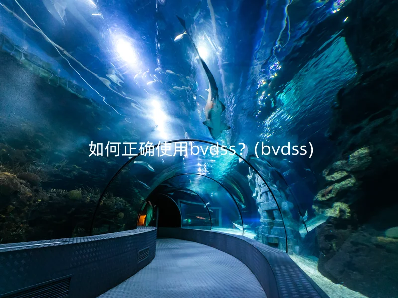  如何正确使用bvdss？(bvdss)