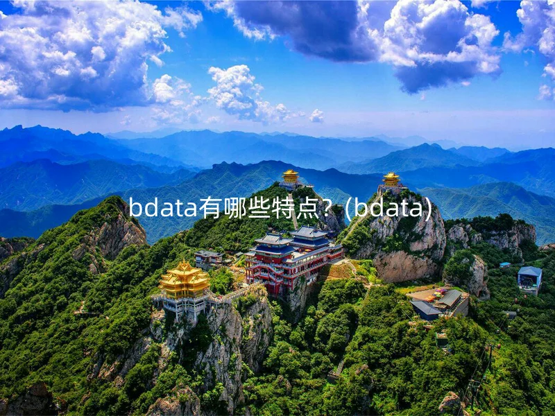  bdata有哪些特点？(bdata)