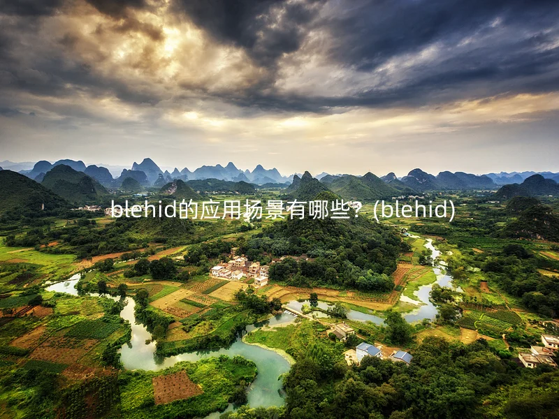  blehid的应用场景有哪些？(blehid)