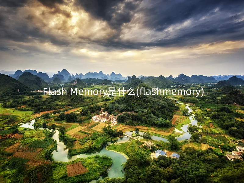  Flash Memory是什么(flashmemory)