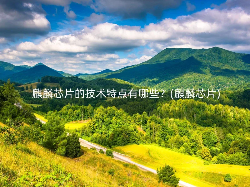  麒麟芯片的技术特点有哪些？(麒麟芯片)