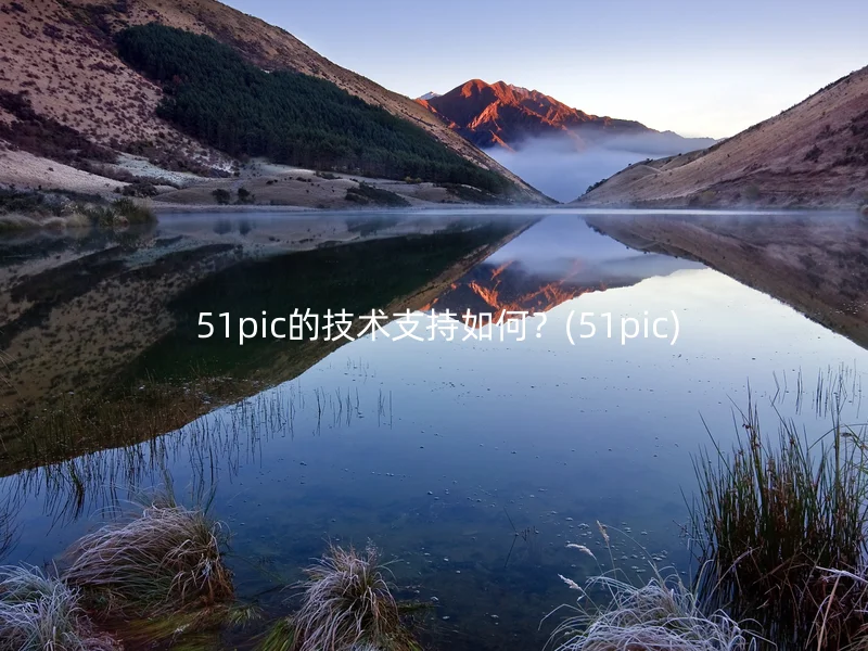  51pic的技术支持如何？(51pic)