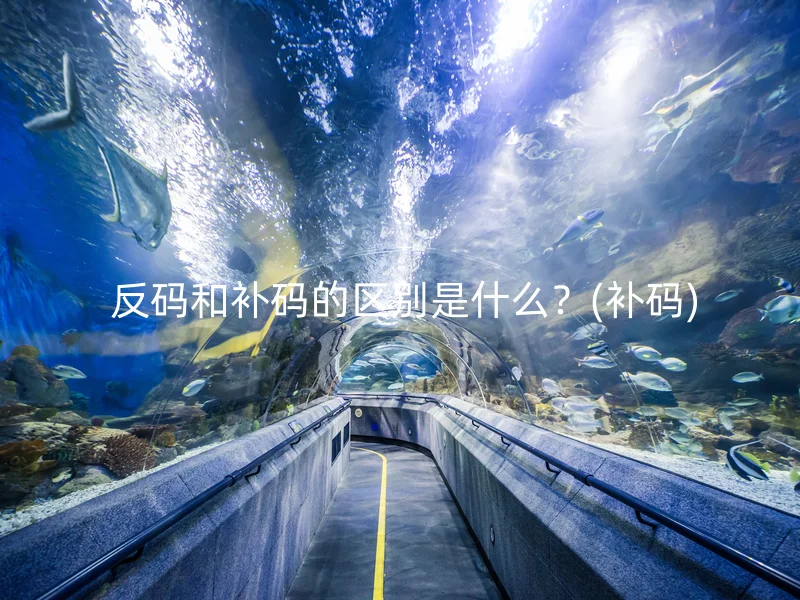  反码和补码的区别是什么？(补码)