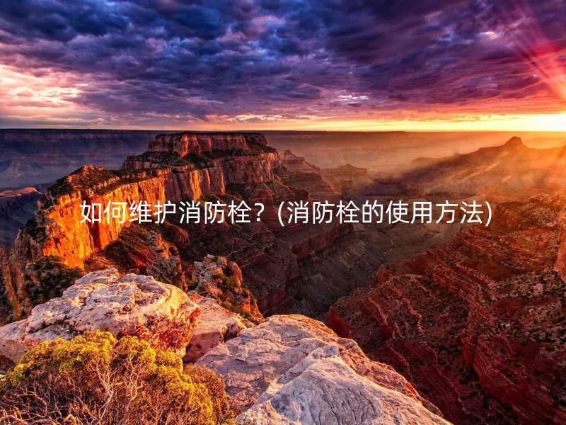  如何维护消防栓？(消防栓的使用方法)