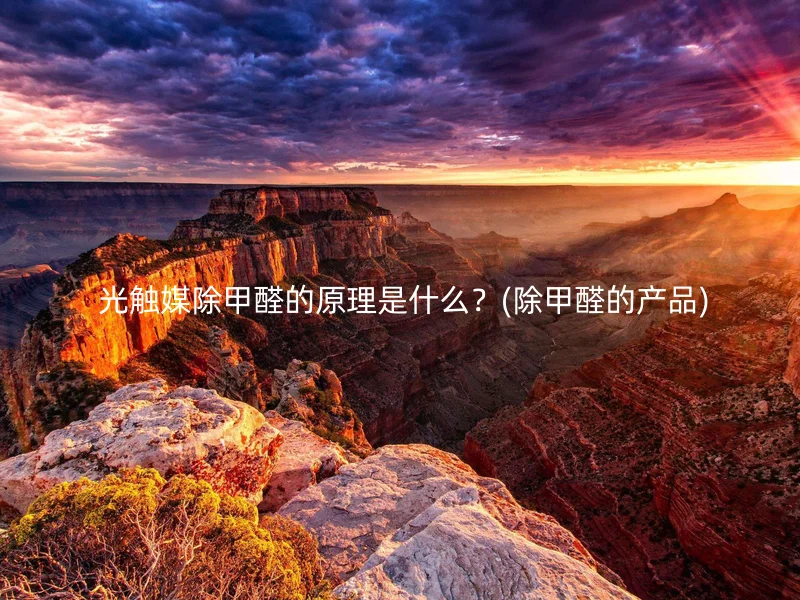  光触媒除甲醛的原理是什么？(除甲醛的产品)