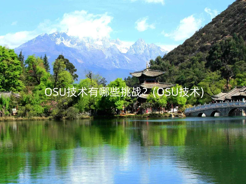  OSU技术有哪些挑战？(OSU技术)