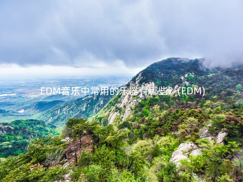  EDM音乐中常用的乐器有哪些？(EDM)