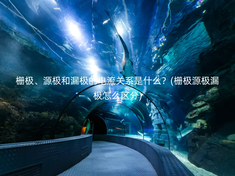 栅极、源极和漏极的电流关系是什么？(栅极源极漏极怎么区分)