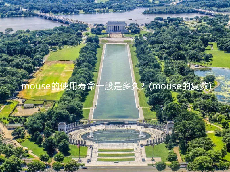  mouse的使用寿命一般是多久？(mouse的复数)