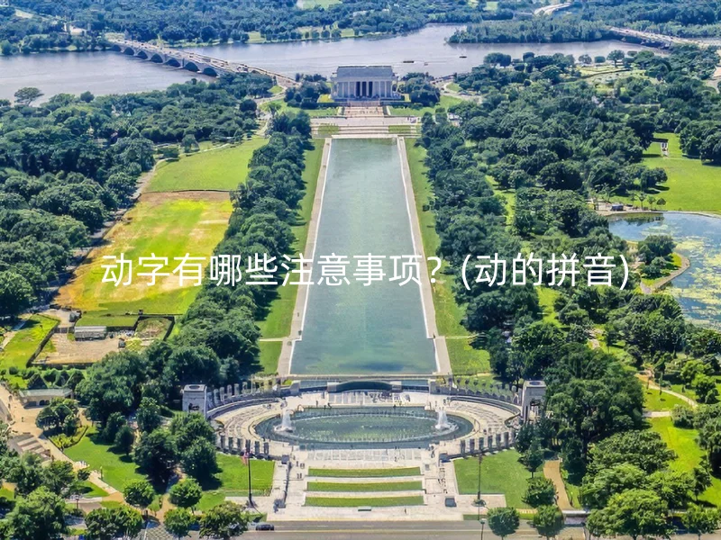  动字有哪些注意事项？(动的拼音)