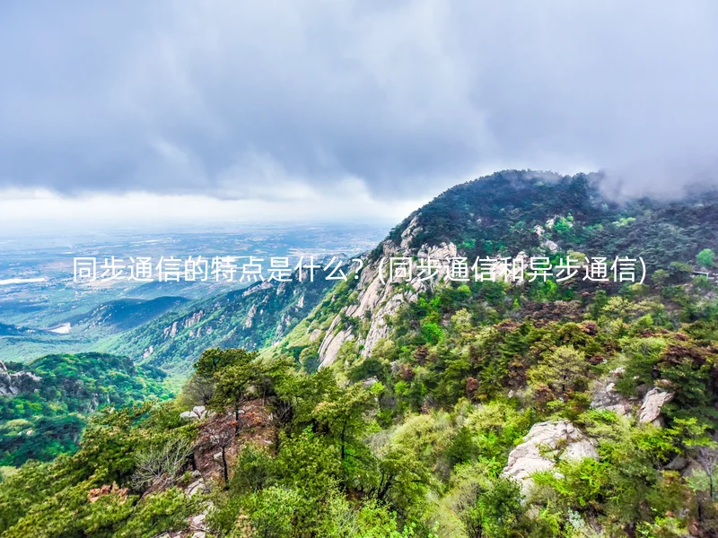 同步通信的特点是什么？(同步通信和异步通信)
