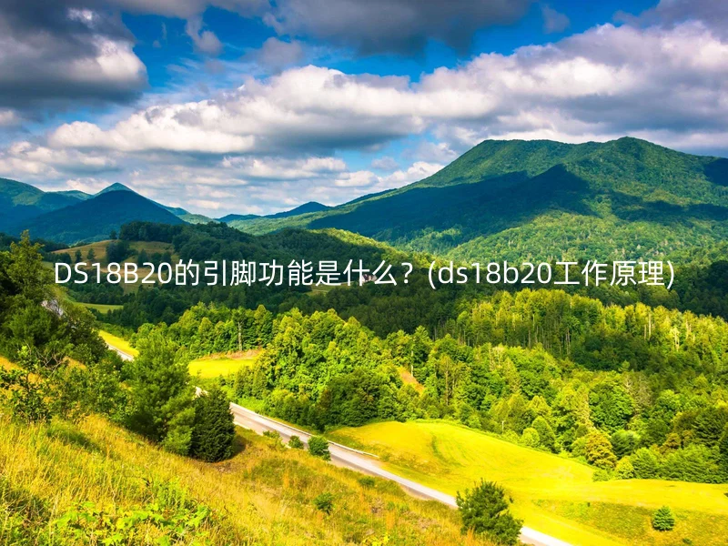 DS18B20的引脚功能是什么？(ds18b20工作原理)
