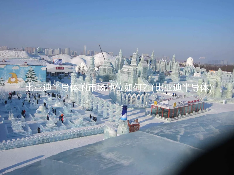  比亚迪半导体的市场地位如何？(比亚迪半导体)