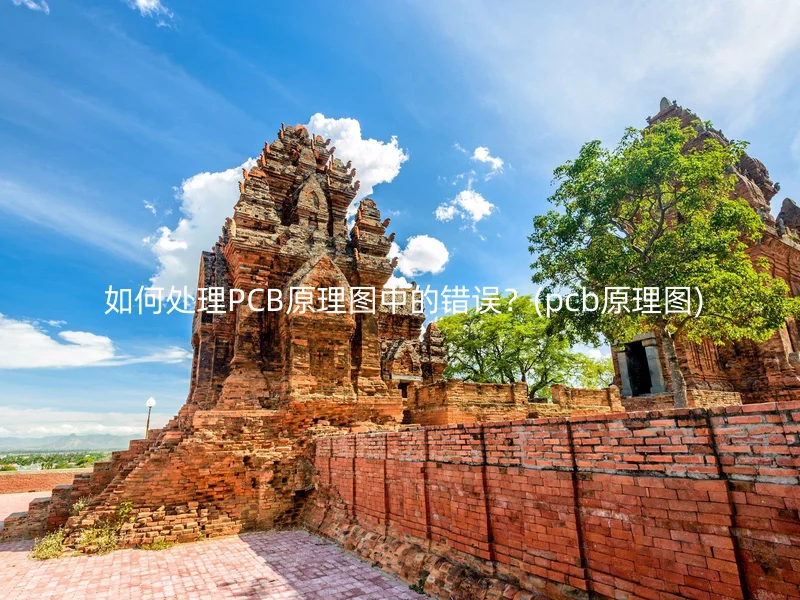  如何处理PCB原理图中的错误？(pcb原理图)