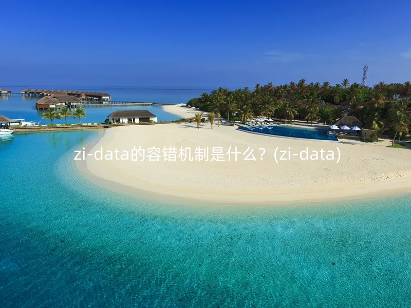  zi-data的容错机制是什么？(zi-data)