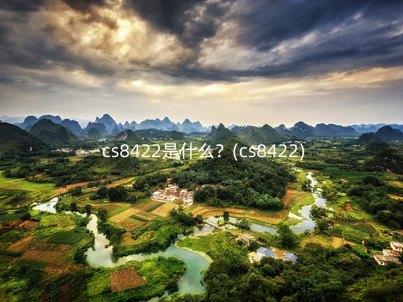  cs8422是什么？(cs8422)