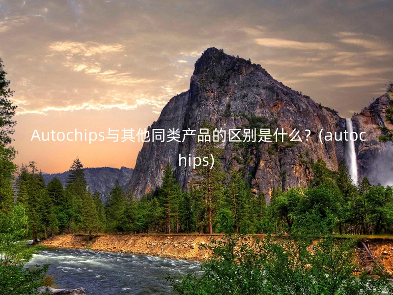  Autochips与其他同类产品的区别是什么？(autochips)