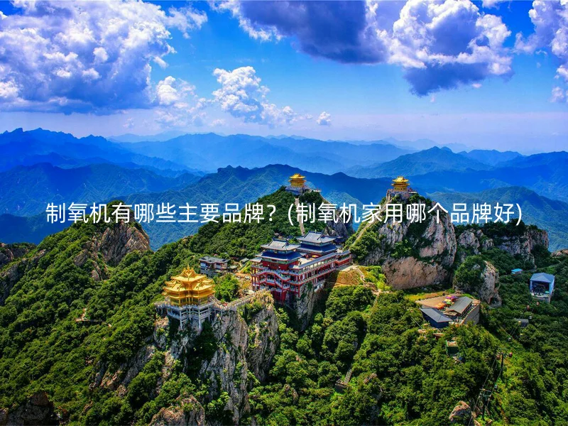 制氧机有哪些主要品牌？(制氧机家用哪个品牌好)