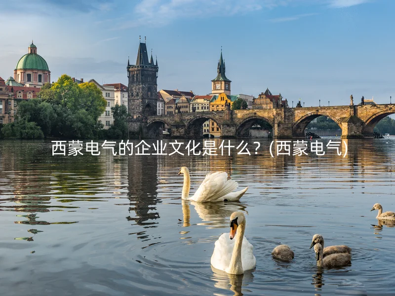  西蒙电气的企业文化是什么？(西蒙电气)