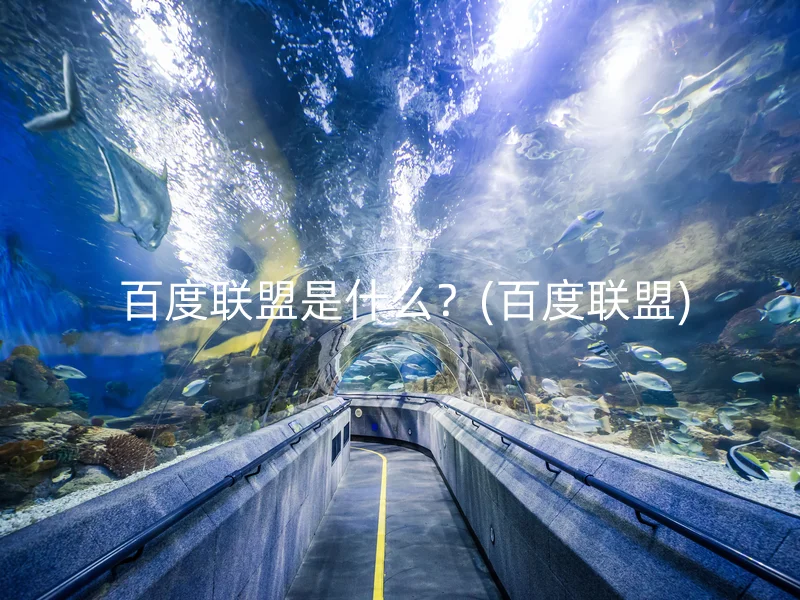  百度联盟是什么？(百度联盟)