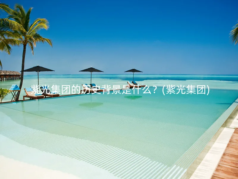  紫光集团的历史背景是什么？(紫光集团)