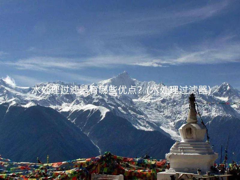  水处理过滤器有哪些优点？(水处理过滤器)