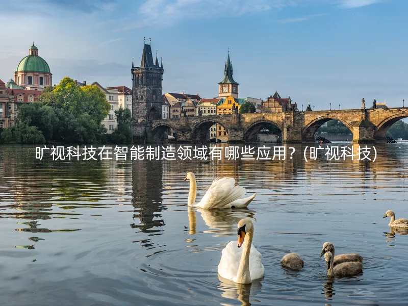  旷视科技在智能制造领域有哪些应用？(旷视科技)