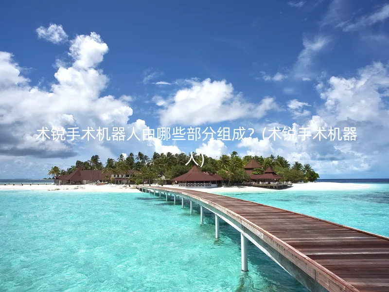  术锐手术机器人由哪些部分组成？(术锐手术机器人)