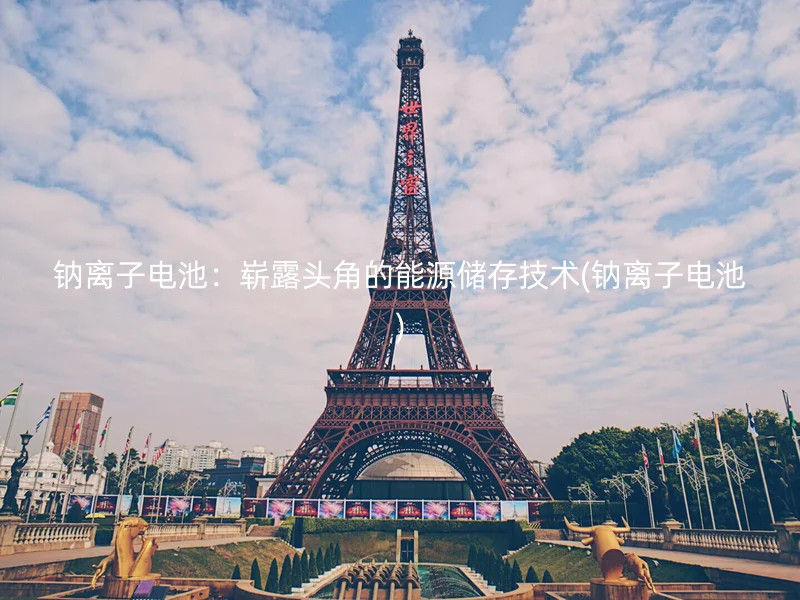 钠离子电池：崭露头角的能源储存技术(钠离子电池)