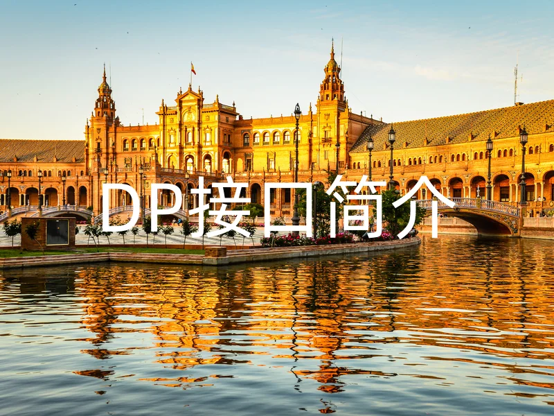 DP接口简介