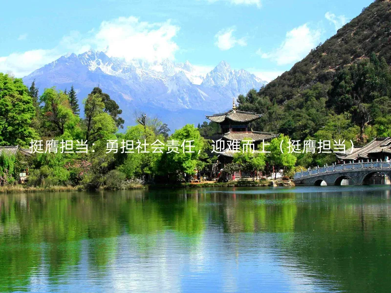 挺膺担当：勇担社会责任，迎难而上（挺膺担当）