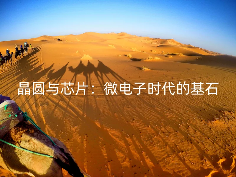 晶圆与芯片：微电子时代的基石